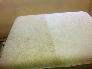 Upholstery Cleaning
