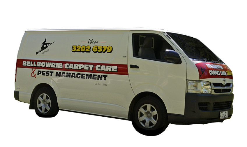 Bellbowrie Carpet Care Carpet Cleaning and Pest Control